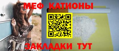 стаф Можга
