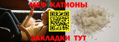 стаф Можга