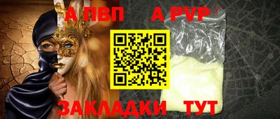 стаф Можга