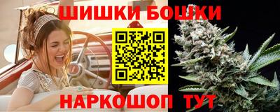 стаф Можга