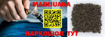 стаф Можга