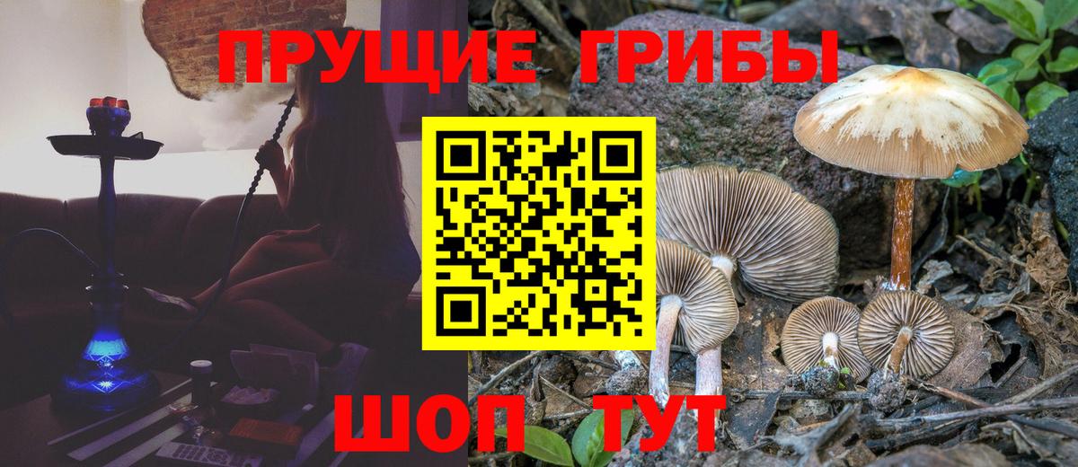 Домодедово  Галлюциногенные грибы GOLDEN TEACHER  Вход с VPN 